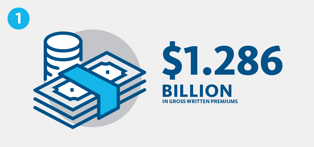 Gross written premiums increased from $1.08 billion to $1.286 billion in the first 6 months of 2017.